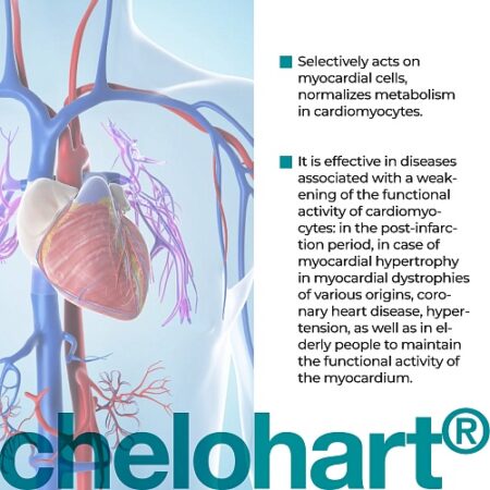 Chelohart Peptide Complex for Cardiovascular Support – 20/60 Capsules