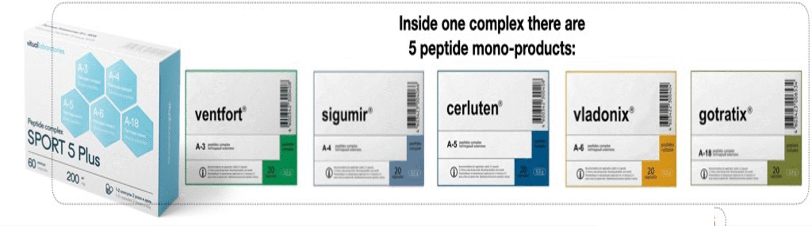 Recovery 5 plus (Sport 5 Plus) Peptide Complex – includes Ventfort, Sigumir, Cerluten, Vladonix, Gotratix - Image 2