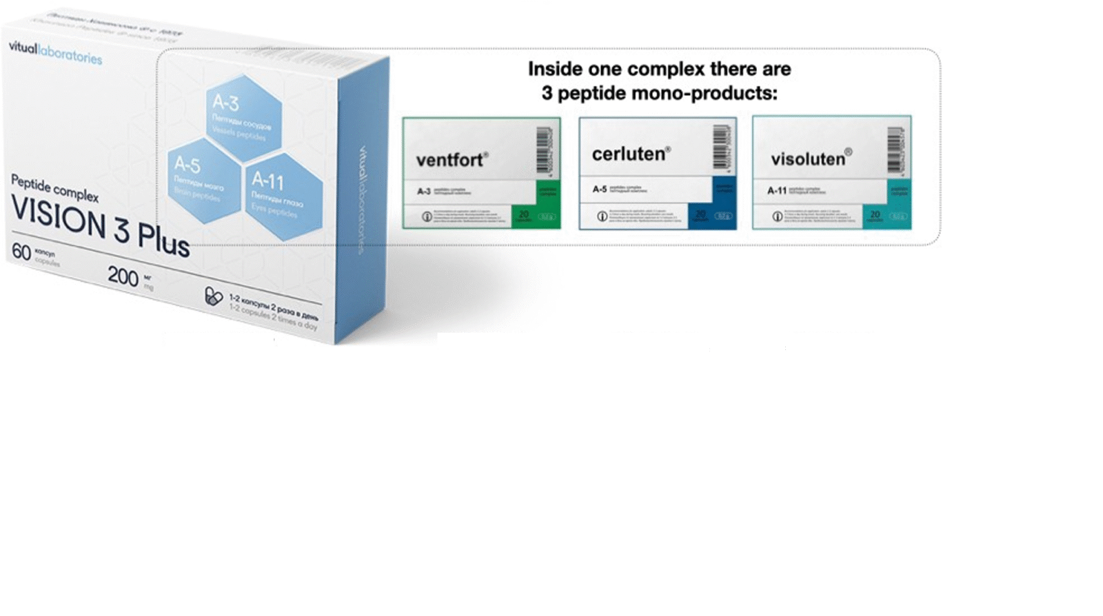 Vision 3 Plus Peptide Complex – includes Visoluten, Cerluten, Ventfort - Image 2