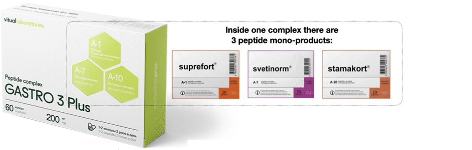 Gastro 3 Plus Peptide Complex – includes Suprefort, Svetinorm, Stamakort - Image 2