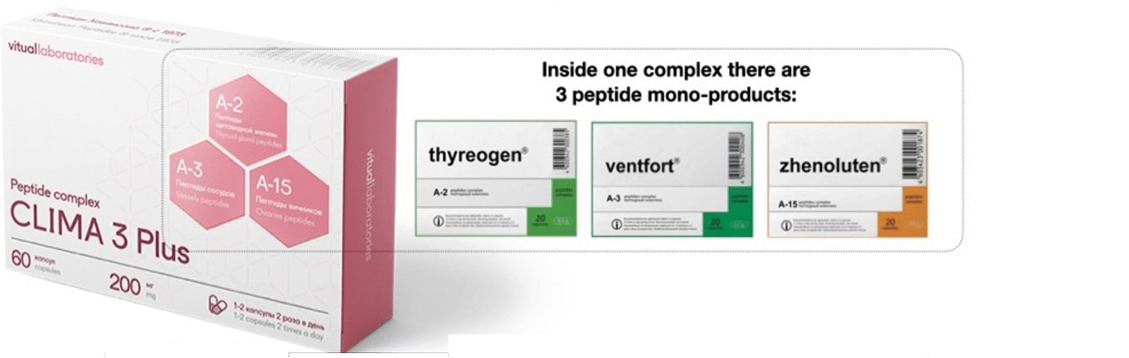 LADY 3 Plus (Clima 3 plus) Peptide Complex – with Zhenoluten, Thyreogen & Ventfort. - Image 2