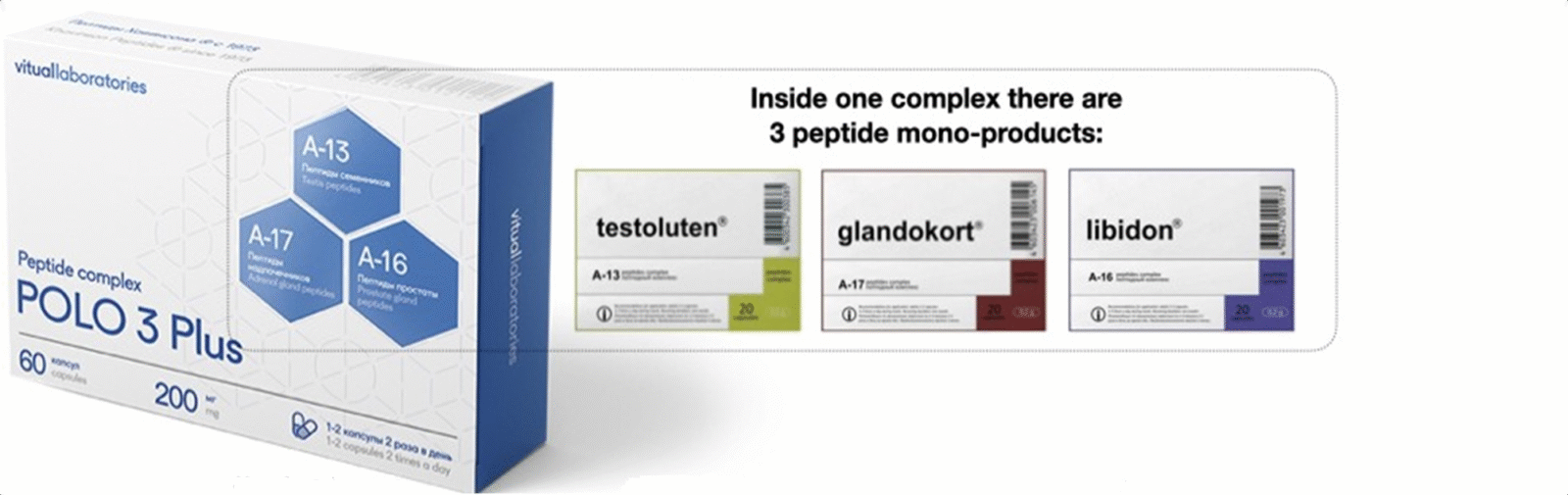 Polo 3 Plus Peptide Complex – with Testoluten, Libidon & Glandokort. - Image 3